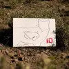 Coyote Infinity Target Silhouette
