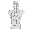 ANATOMICAL TORSO TARGET